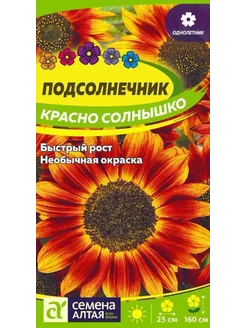 Подсолнечник Красно солнышко (0,5г) - Семена Алтая 242172233 купить за 88 ₽ в интернет-магазине Wildberries