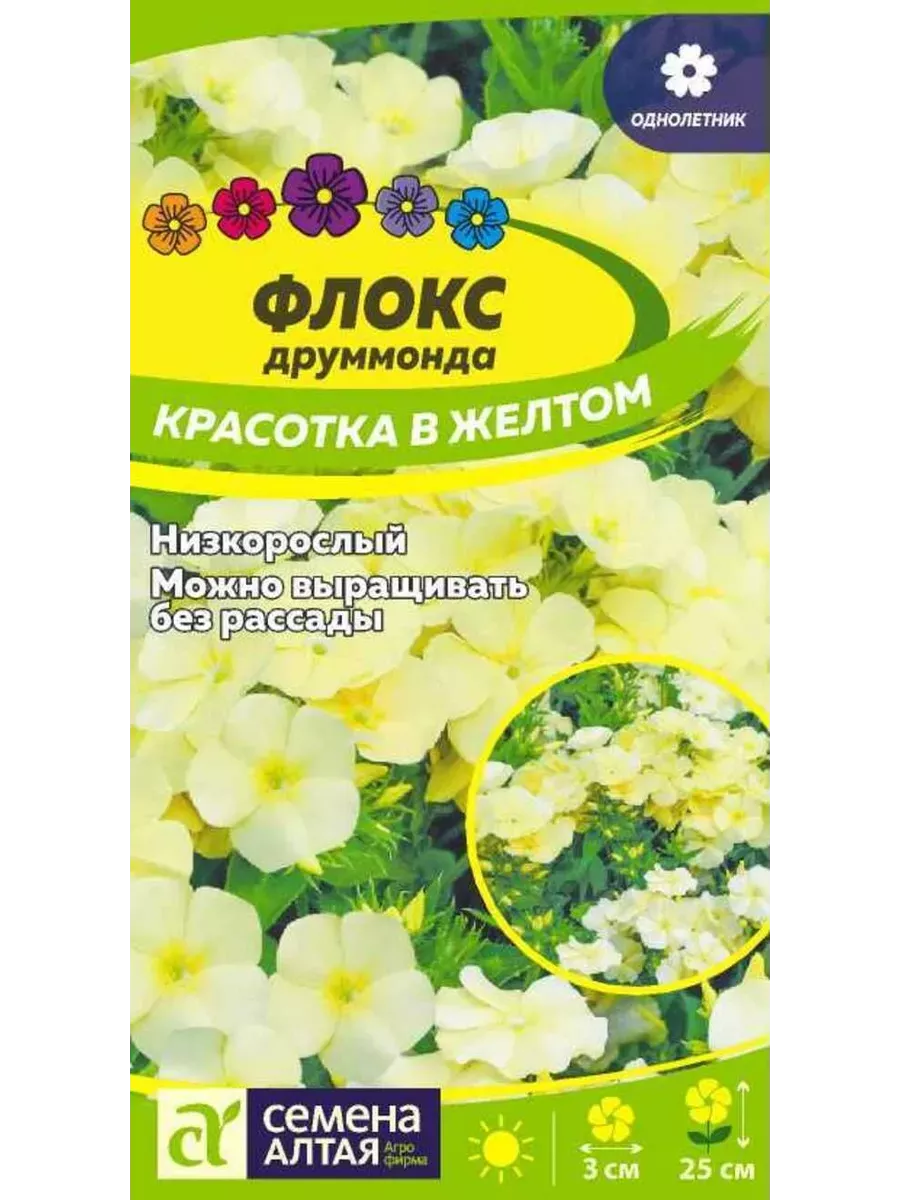Флокс Красотка в Желтом...
