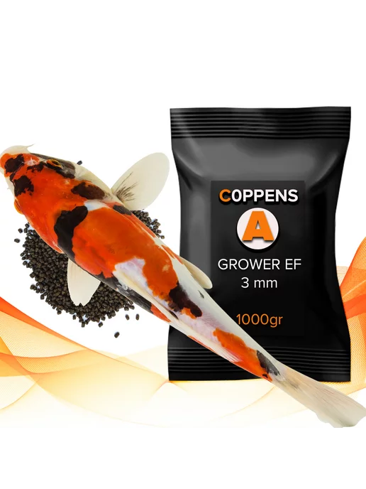 Coppens GROWER EF 3мм, 500гр - корм для крупной рыбы, 1 кг, фото 3