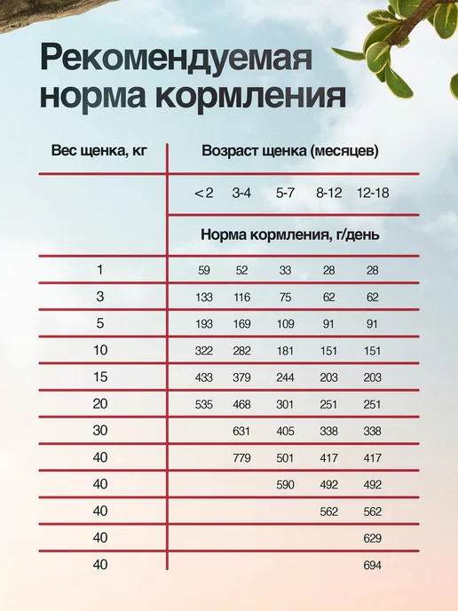 Сухой корм BLITZ для собак, щенки, ягненок, 0,5 кг, фото 5