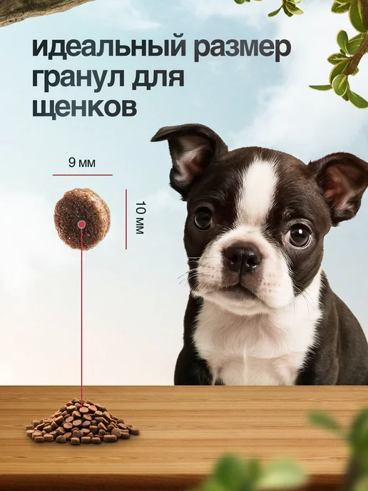 Сухой корм BLITZ для собак, щенки, ягненок, 0,5 кг, фото 6