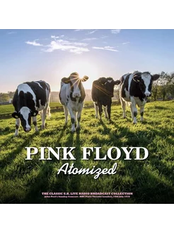 Pink Floyd. Atomized-BBC Paris Theatre, London 70(White)(LP) Мистерия Звука 242299293 купить за 1 825 ₽ в интернет‑магазине Wildberries