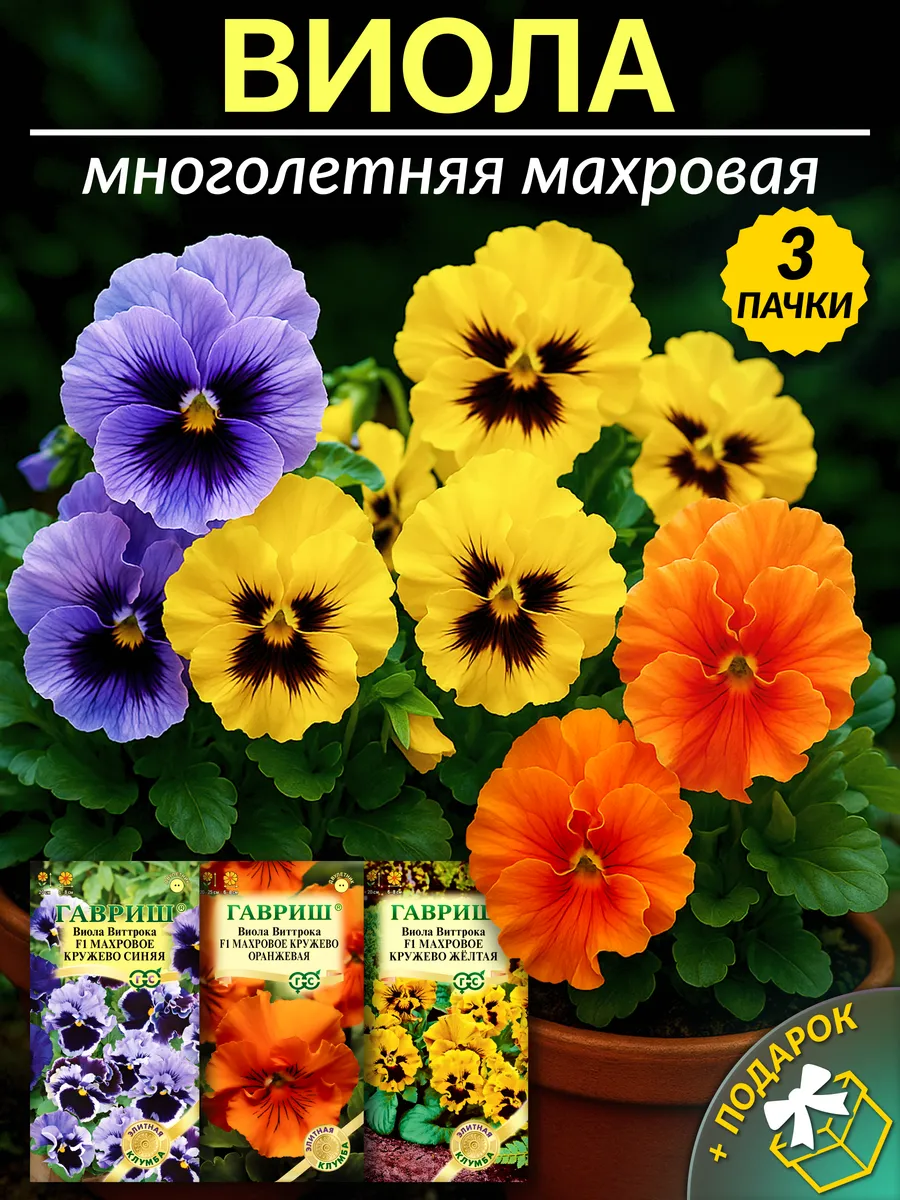 Семена цветов виола махровая