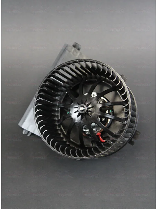 ACS TERMAL Мотор печки для Volkswagen Golf 4 402021, вариант