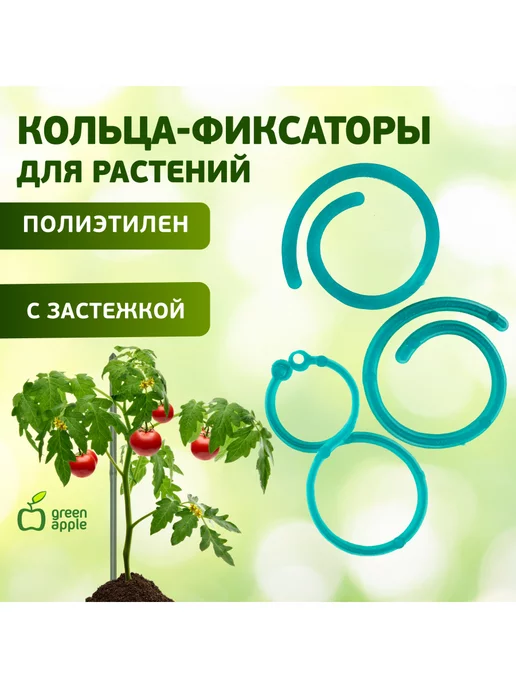 Green Apple Кольцо фиксатор цепочка, зеленый