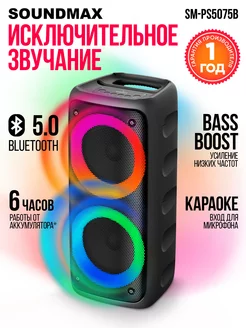 Колонка беспроводная SM-PS5075B(черный), музыкальная Soundmax 242555352 купить за 4 270 ₽ в интернет-магазине Wildberries