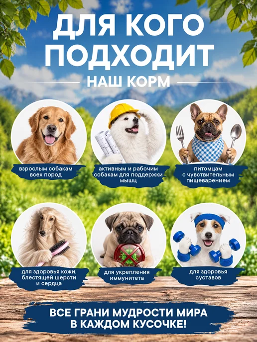 Сухой корм Pronature Holistic Nordic для собак, беззерновой, индейка, 10 кг, фото 4