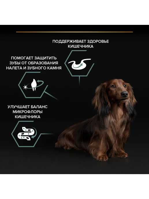 Сухой корм Purina ProPlan Digestion для собак, мелкие, чувствительное пищеварение, ягненок, 0,7 кг, фото 3