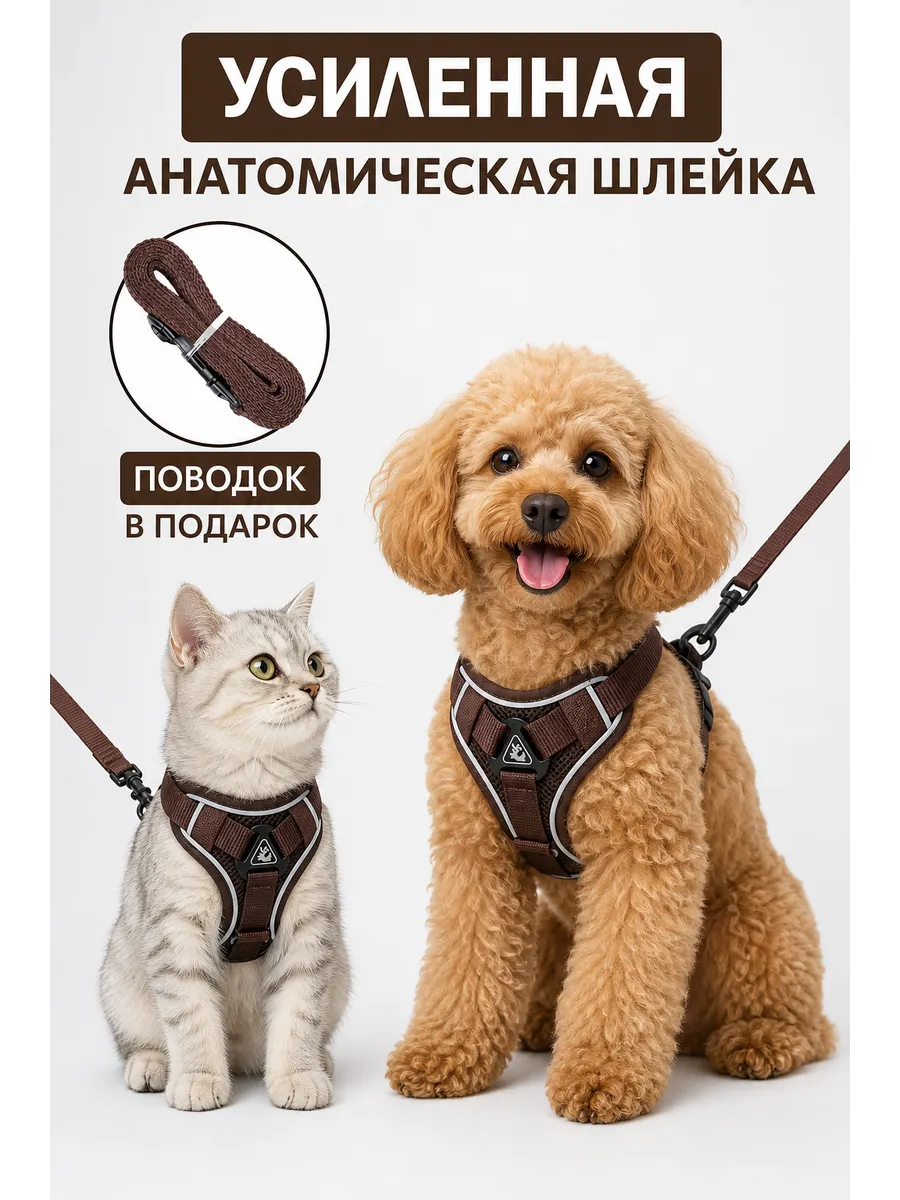 Шлейка для собак и кошек мелких и средних пород c поводком