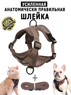 Шлейка для собак и кошек мелких и средних пород c поводком KINGDOM pets 242654056 купить за 431 ₽ в интернет-магазине Wildberries