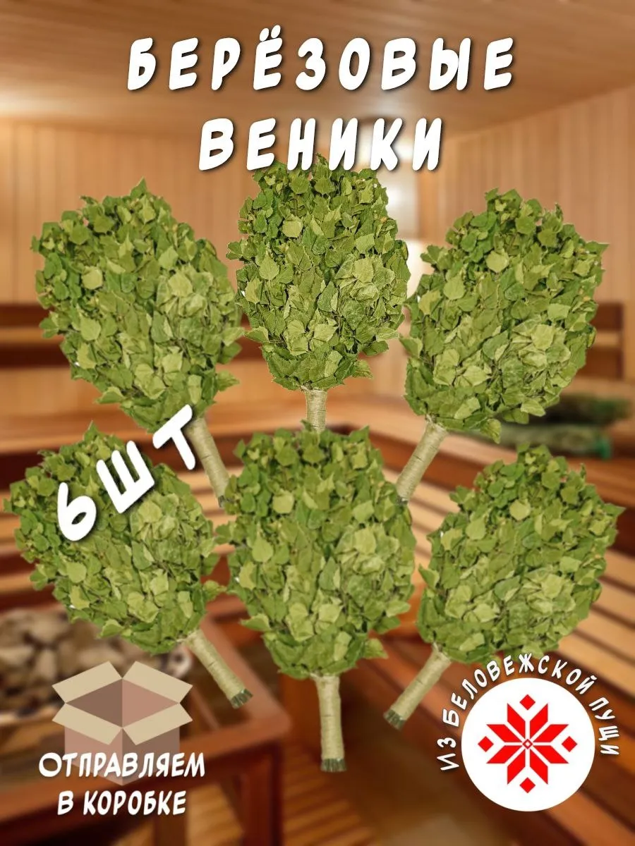 Берёзовый веник 6 шт.