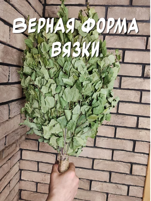 из Пущи Дубовые веники 2шт. для бани и сауны. Премиум, 6 шт, фото 4