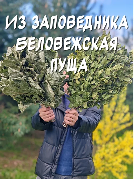 из Пущи Дубовые веники 2шт. для бани и сауны. Премиум, 6 шт, фото 8