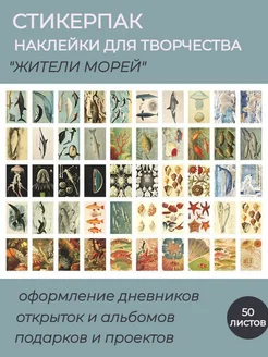 Книжка наклеек стикерпак 242733767 купить за 188 ₽ в интернет-магазине Wildberries