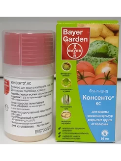 Консенто фунгицид 60 мл Bayer 242749951 купить за 600 ₽ в интернет-магазине Wildberries