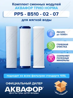 Комплект для Трио Норма РР5-В510-02-07 Аквафор 242776921 купить за 1 850 ₽ в интернет-магазине Wildberries