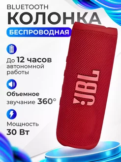 Портативная акустическая колонка JBL Flip 6