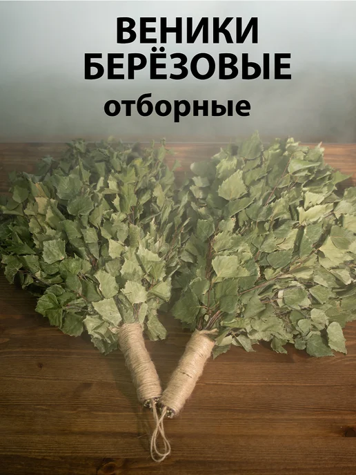 веник для бани Веник березовый для бани с ручкой из джута 2 штуки 2026, Берёзовые веники