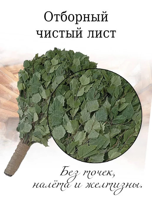 веник для бани Веник березовый для бани с ручкой из джута 2 штуки 2026, Берёзовые веники, фото 7