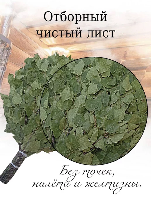Банный веник дубовый Веники березовые для бани 5 штук Марий Эл, сбор 2026 года, 5 шт, фото 2
