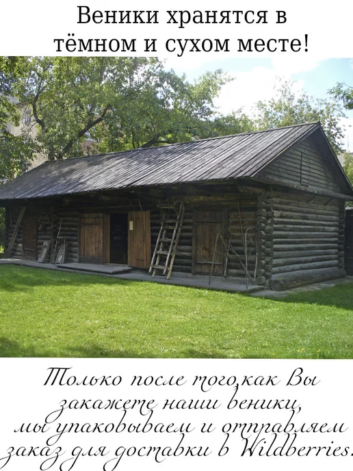 Банный веник дубовый Веники березовые для бани 5 штук Марий Эл, сбор 2026 года, 5 шт, фото 4