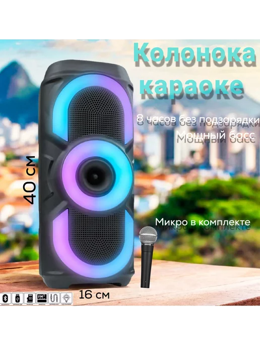 BassBoos Беспроводная колонка музыкальная блютуз с микрофоном караоке