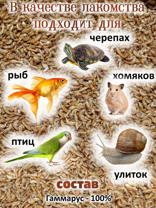Гаммарус тушка 2л 200г, 2 л, 200 г, фото 3