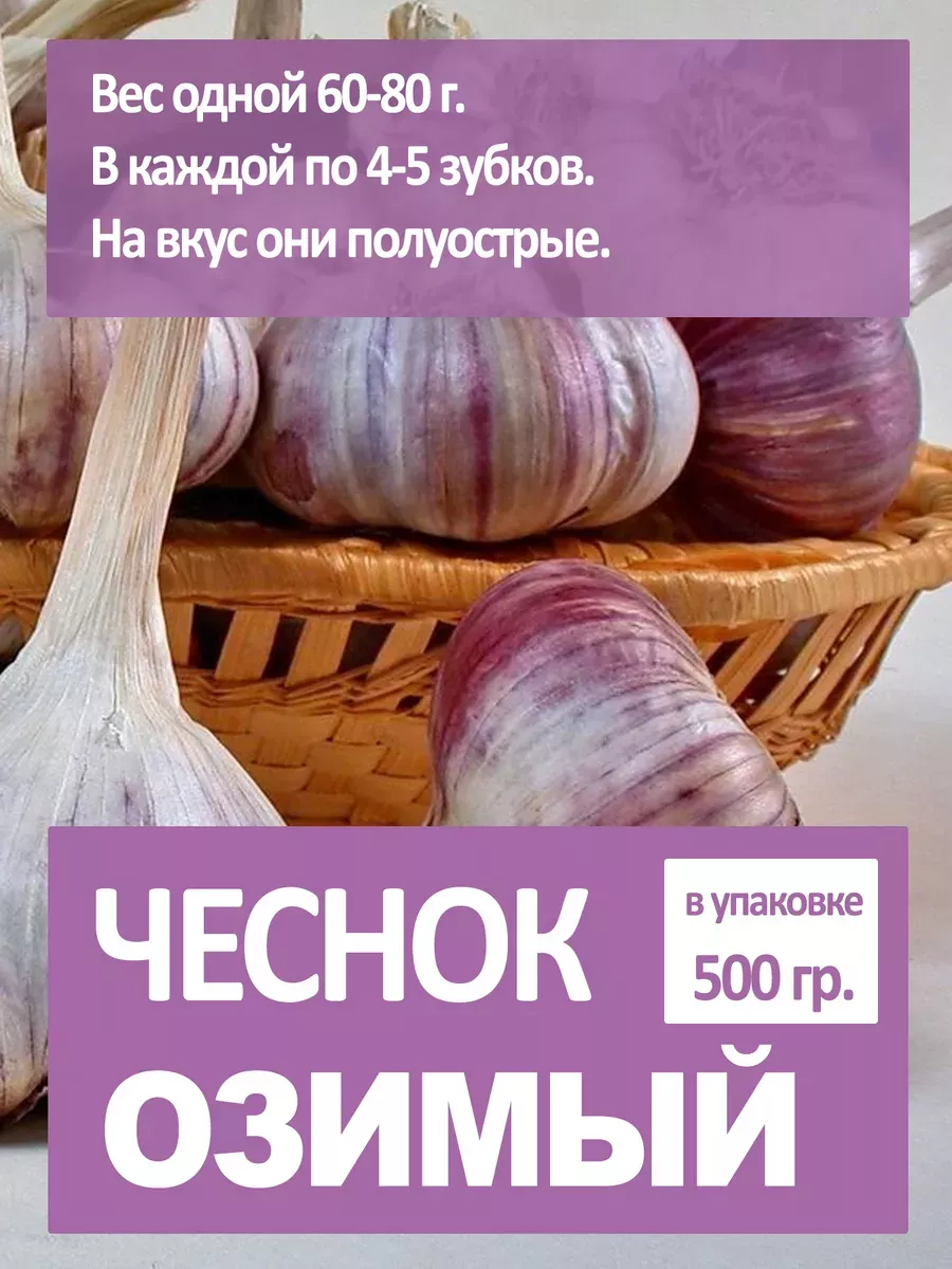 Чеснок яровой на посадку...