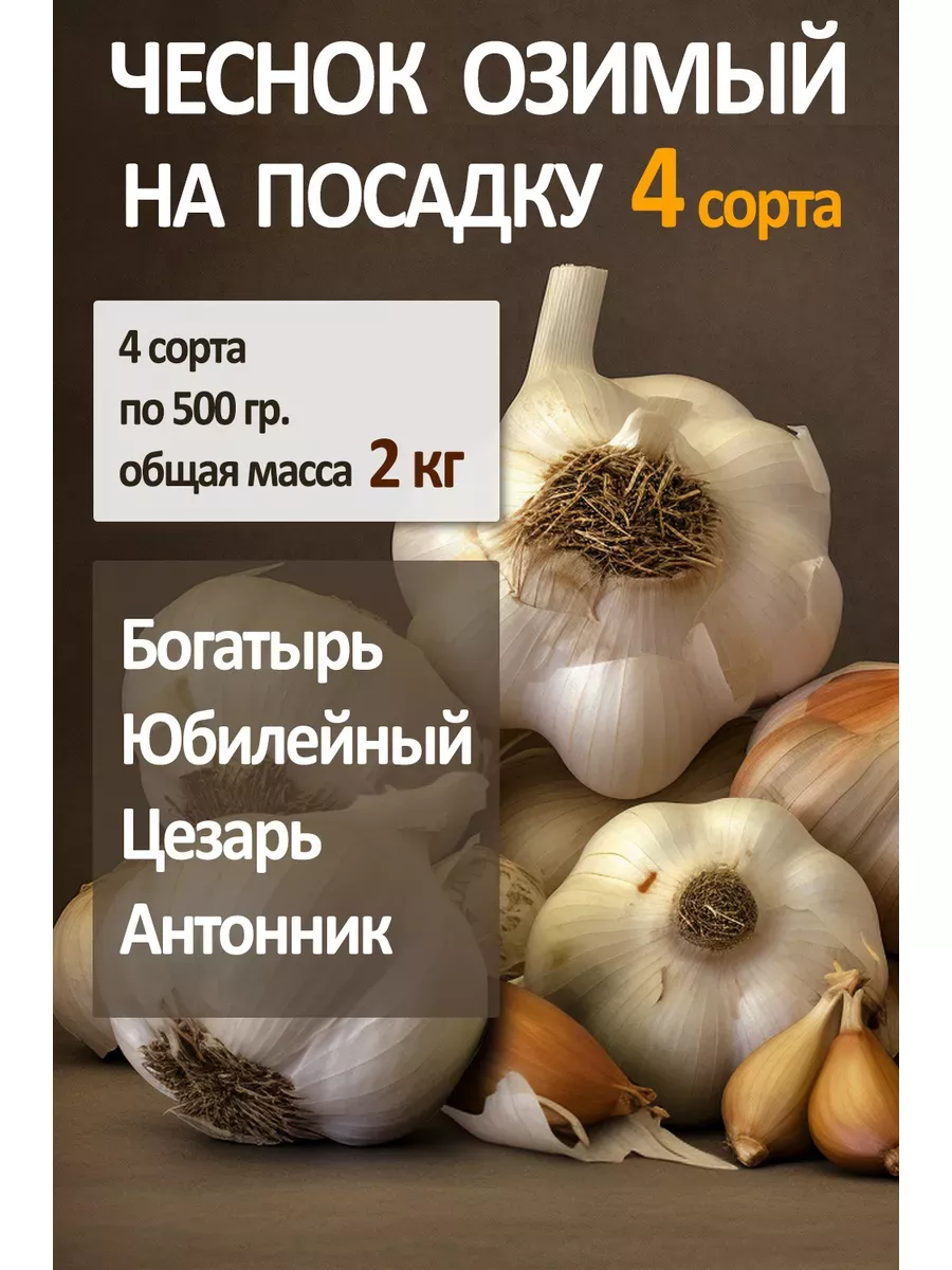 Чеснок яровой на посадку...