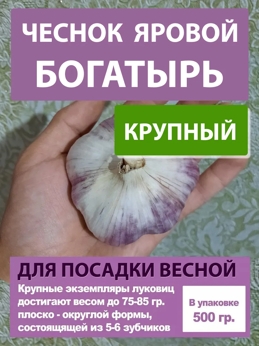 Чеснок яровой на посадку...