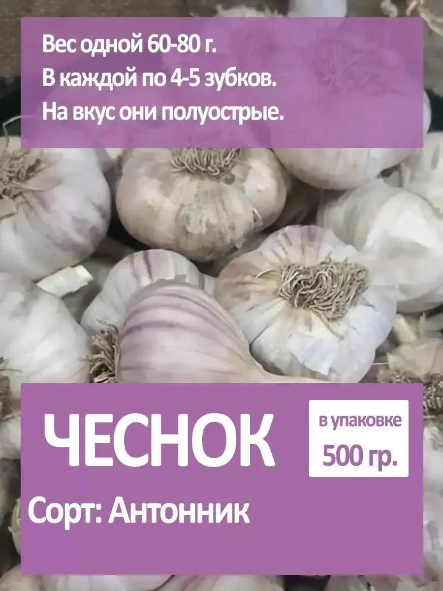 Чеснок яровой на посадку...