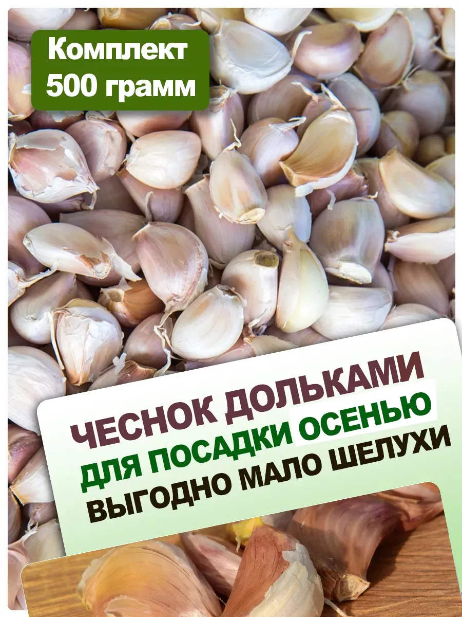 Чеснок яровой на посадку...