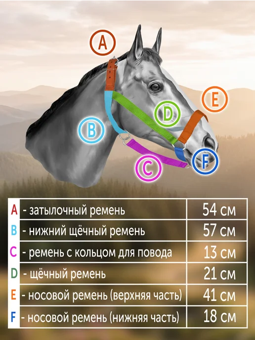 REITER Недоуздок для лошадей, тройной капрон, 30 мм, черный, фото 2