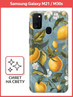 Чехол на Samsung Galaxy M21, M30s