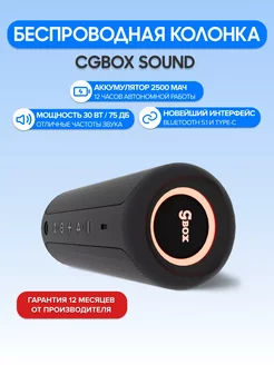 Беспроводная музыкальная колонка CGBox Sound