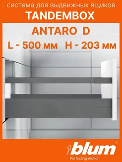 Направляющие для ящиков Tandembox ANTARO D 500 мм блюм blum 243075054 купить за 9 141 ₽ в интернет-магазине Wildberries