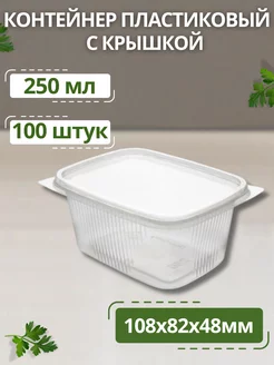 Контейнер одноразовый для хранения с крышкой 250 мл 100 шт