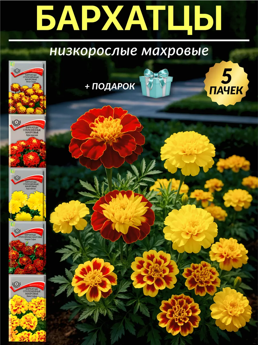 Семена бархатцы низкорослые махровые