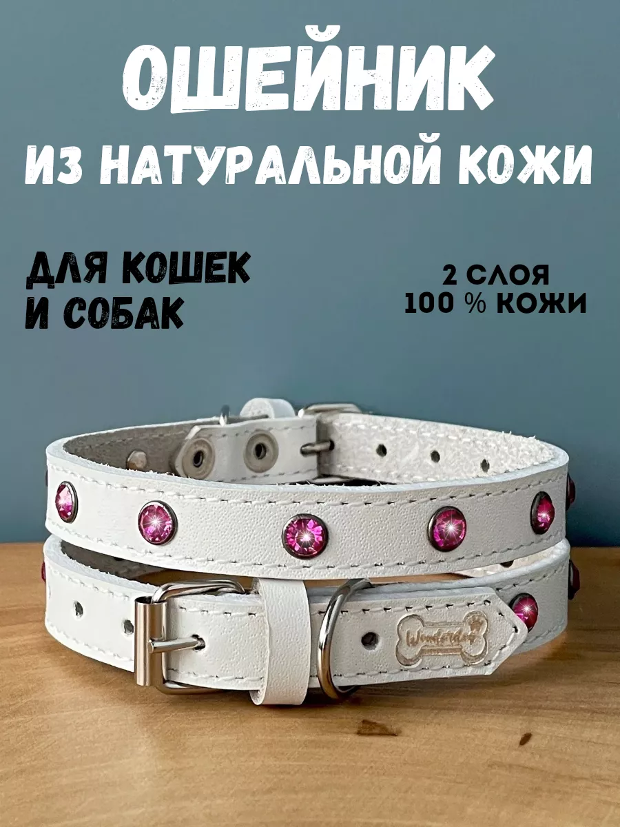 кожаный ошейник со...