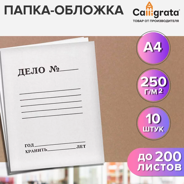 Набор папок-обложек «Дело», 250г/м2, на 200л, 10 шт.