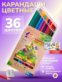 Карандаши цветные 36 цветов