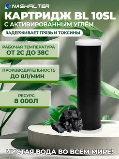 Картридж угольный для фильтра BL 10 SL NASHFILTER 243189320 купить за 259 ₽ в интернет-магазине Wildberries