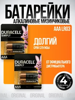 Батарейки мизинчиковые ААА 4 шт DURACELL 243197785 купить за 141 ₽ в интернет-магазине Wildberries