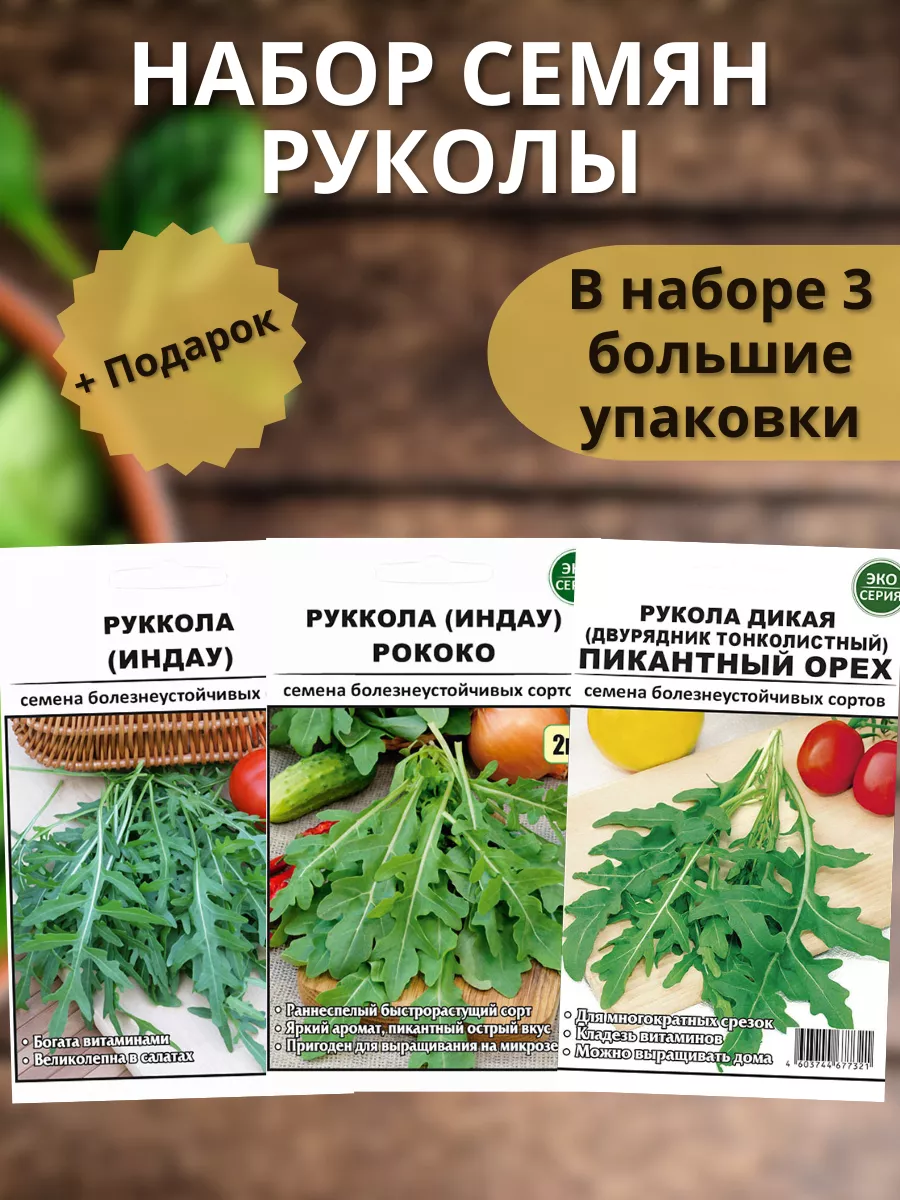 Руккола семена индау ранняя на подоконник Рококо