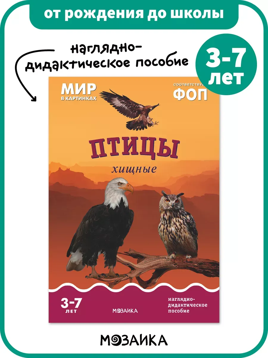 Окружающий мир, книга птицы, воспитателю в детский сад 3+