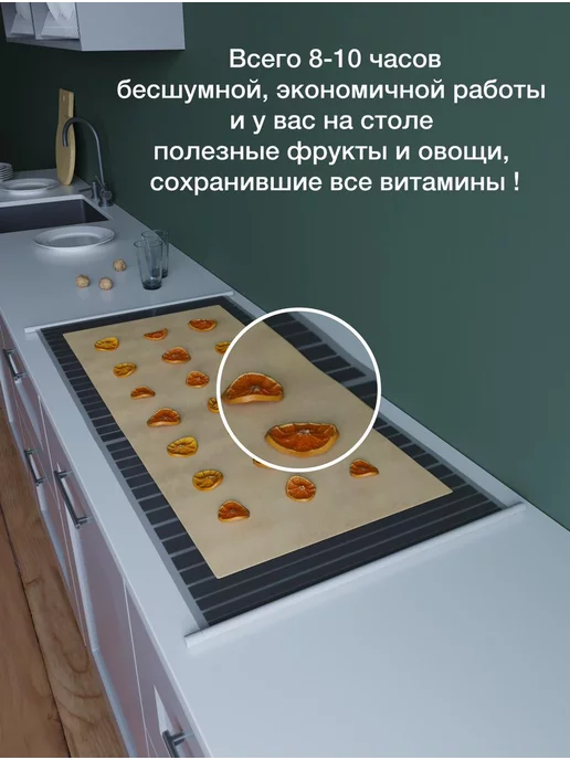 Технодом Сушилка для овощей и фруктов 200 Вт, 200 Вт, фото 2