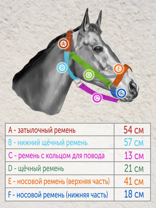 REITER Недоуздок для лошадей, двойной капрон, 30 мм, черный, фото 2