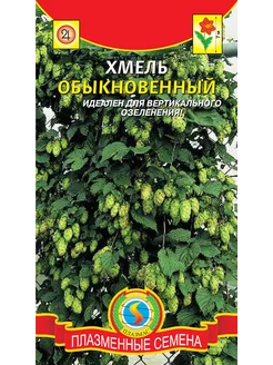 *Хмель обыкновенный ПЛАЗМАС 243393906 купить за 115 ₽ в интернет-магазине Wildberries