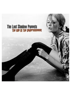 The Last Shadow Puppets The Age Of The Understatement