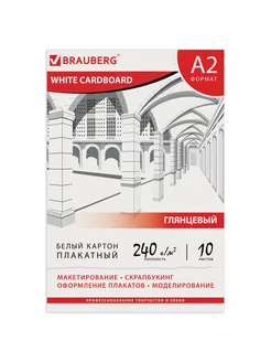 Картон белый А2 10 листов в папке BRAUBERG 400х590 мм